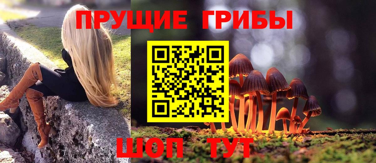 Галлюциногенные грибы GOLDEN TEACHER Ипатово