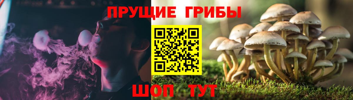 Галлюциногенные грибы ЛСД  Галлюциногенные грибы прущие грибы  Ипатово  Вход с VPN 